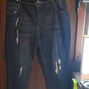 Woman Within Distressed Straight Leg Jeans